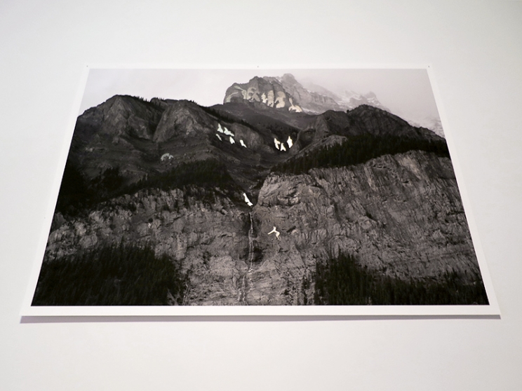 http://www.forum.mirunadragan.com/files/gimgs/th-12_GGallery_Mountain_web.jpg