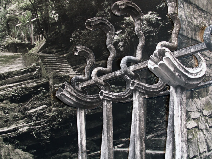 http://www.forum.mirunadragan.com/files/gimgs/th-6_IMG_2470_Xilitla_W.jpg