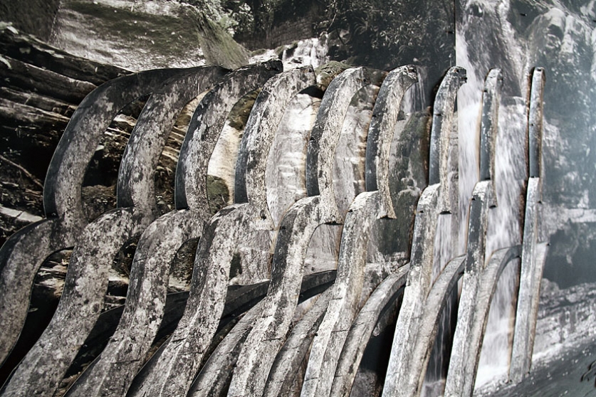 http://www.forum.mirunadragan.com/files/gimgs/th-6_IMG_2473_Xilitla_W.jpg