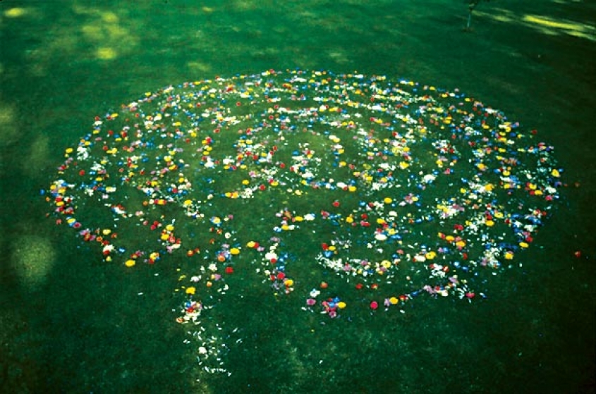 http://www.forum.mirunadragan.com/files/gimgs/th-16_void2_1photo2.jpg