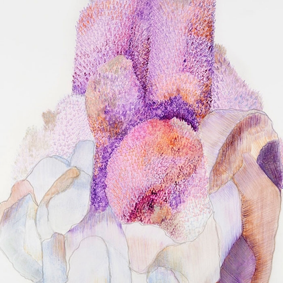 http://www.forum.mirunadragan.com/files/gimgs/th-23_Erratics-Draw3-detail-web_v2.jpg