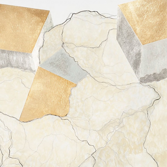 http://www.forum.mirunadragan.com/files/gimgs/th-23_Erratics-Draw1-detail-web_v3.jpg